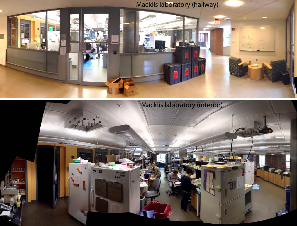 Macklis lab