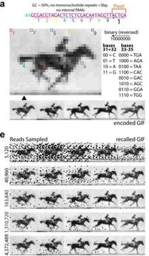 Molecular flight data recorder [Shipman et al., 2017]