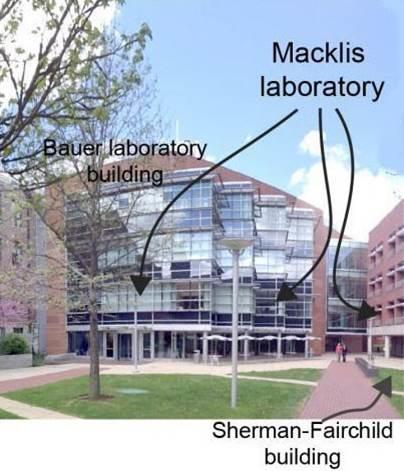 Macklis lab in Bauer building