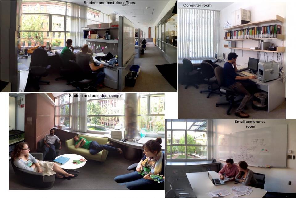 Macklis lab
