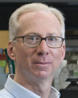 Jeffrey Macklis